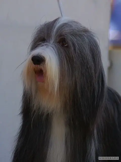 Molly